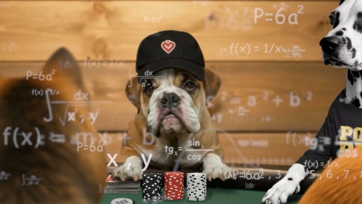 Poker.org How To Play Poker Series